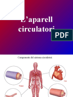 CIRCULATORI