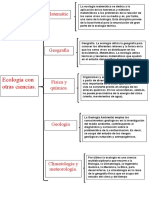 El Esquema de Organización Estándar Tarea Hecha