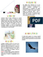 Info Bolivia