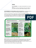 Cannabinoides y Efectos