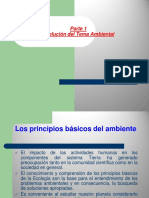 Ambiente, Fundamentos, Principios