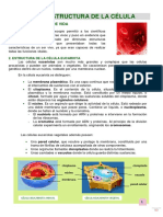 Actividad Recuperar 1er Cuatrimestre