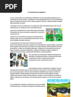 La Contaminacion Ambiental