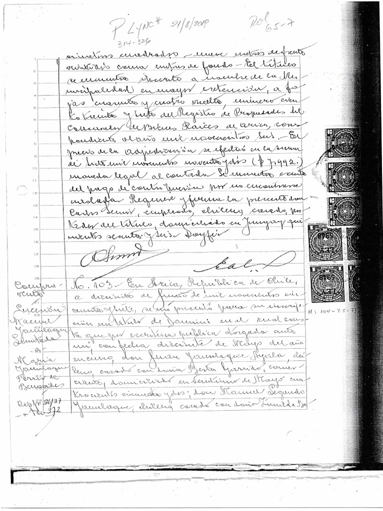 Lynch | PDF
