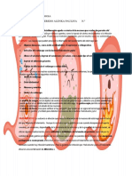 Gastritis