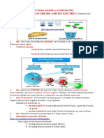 Structura Atomica A Substanteielectrizareschema Lectiei Copie
