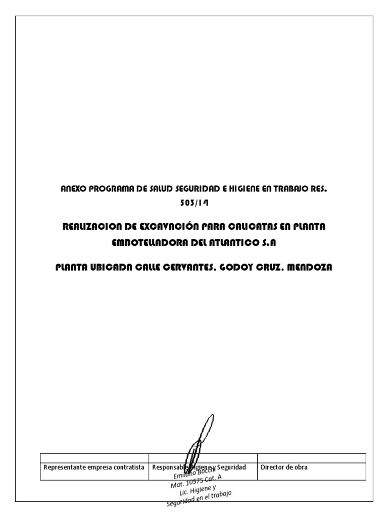 Anexo Programa de Salud Seguridad e Higiene en Trabajo Res. 503-14 | PDF