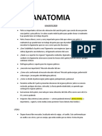 Anatomia Ginecologia