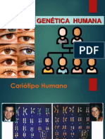 PPT2 Genetica Humana