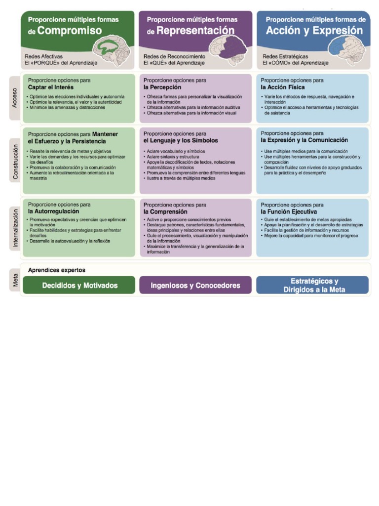 Principios Del Dua | PDF
