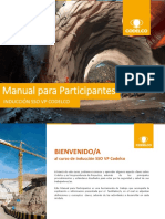 Manual - Participante Ind. Sso VP