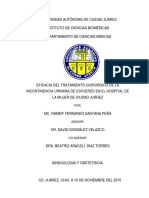 Eficacia Del Tratamiento Quirurgico de La Incontinencia Urinaria de Esfuerzo en El Hospital de La Mujer de CD. Juarez