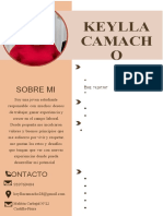 Curriculum Vitae CV Trabajo