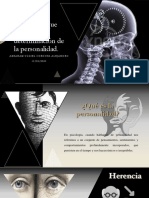 Elementos Que Impactan La Determinación de La Personalidad.
