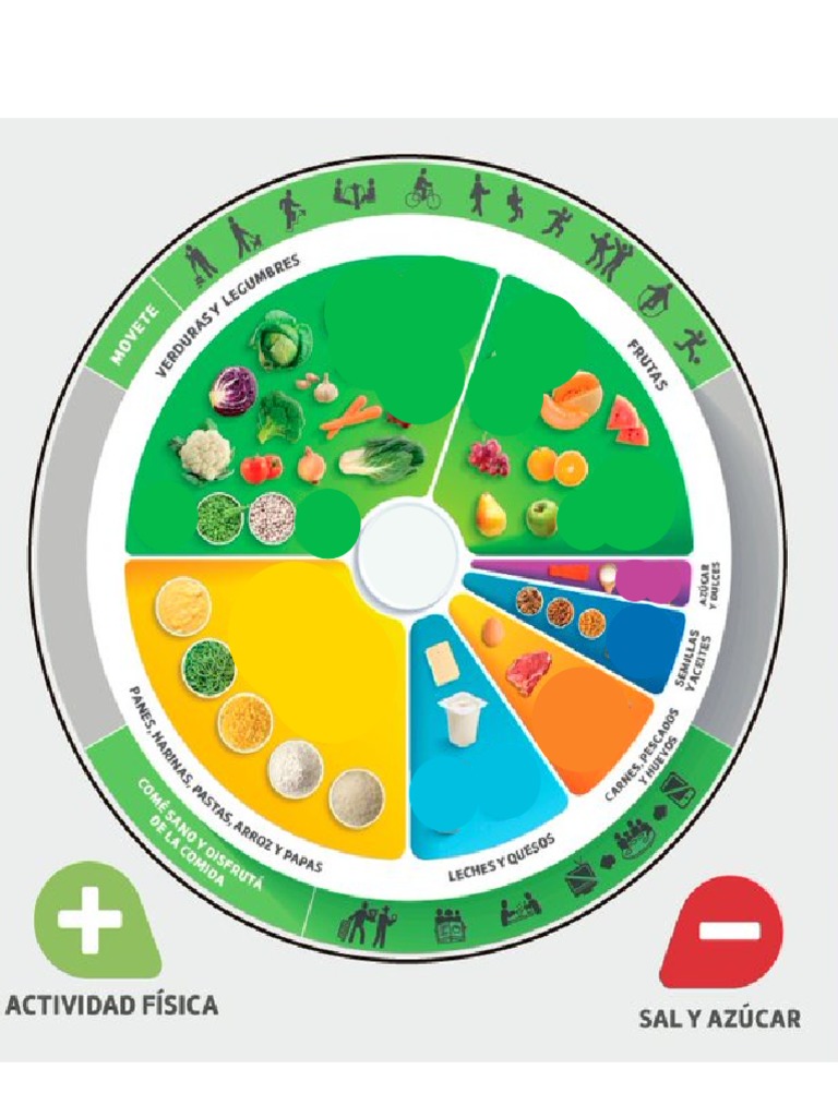 Plantilla Plato Alimenticio Uruguay. Actualizado | PDF