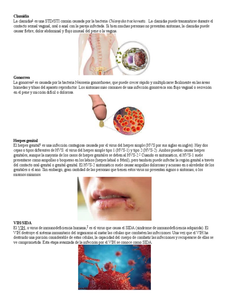 Clamidia: Síntomas y Transmisión | PDF | Infección transmitida ...