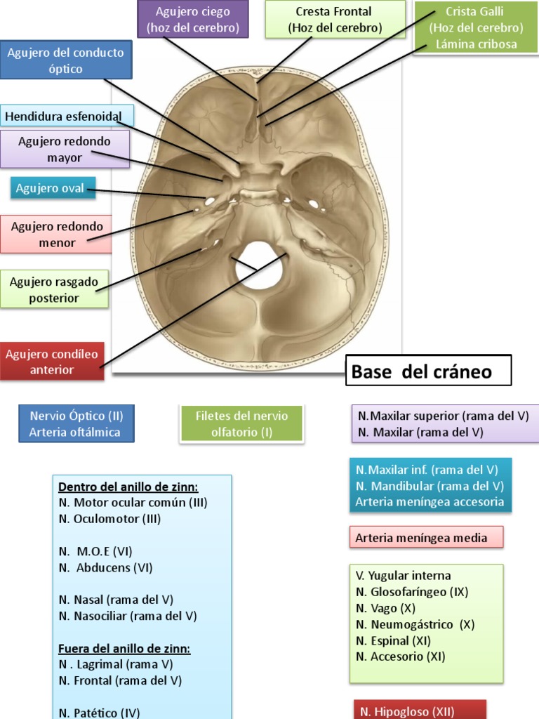 agujeros-de-la-base-del-cr-neo-pdf