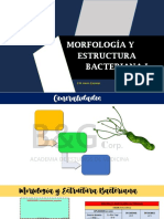 Morfología y Estructura 1