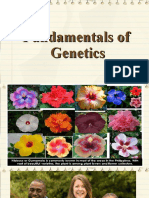 Mendelian Genetics