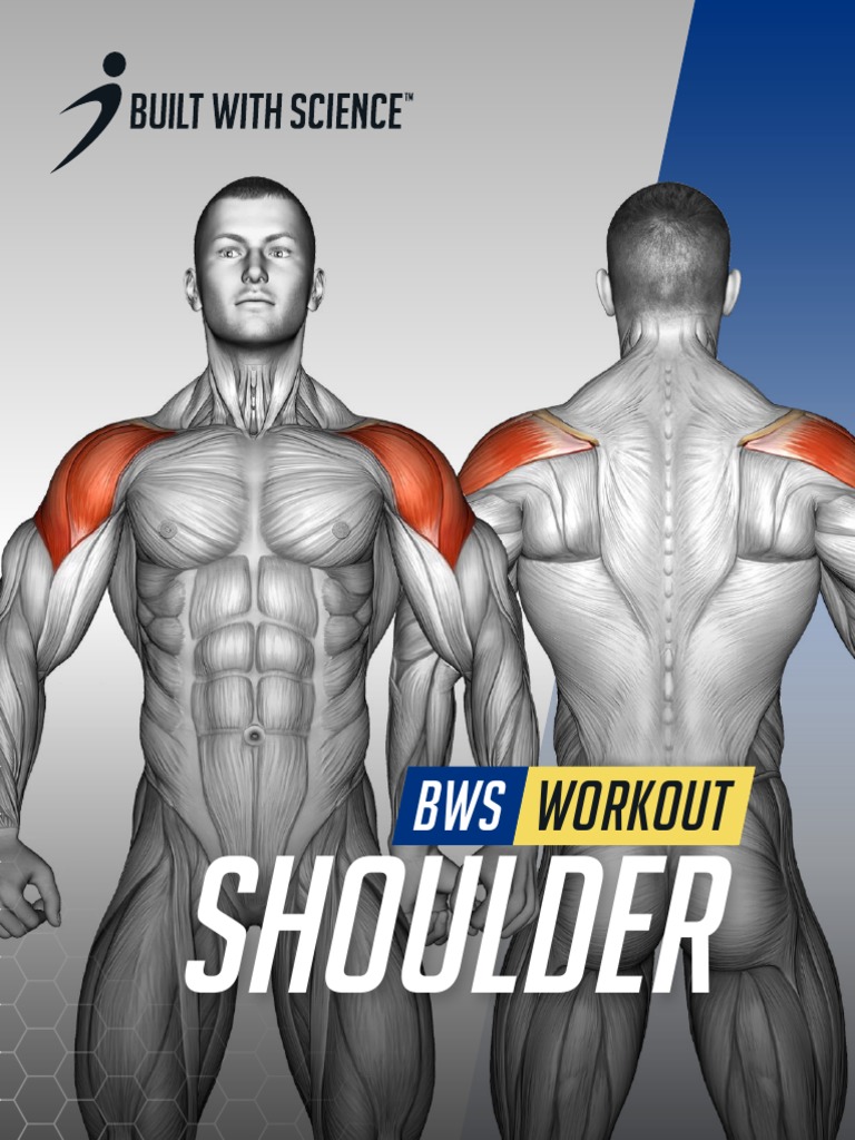 Built With Science Shoulder Workout Pdf Pdf Shoulder Dietitian