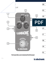 Flashback 2 Mini Delay