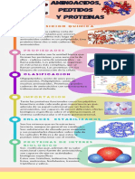 Infografía Aminoácidos