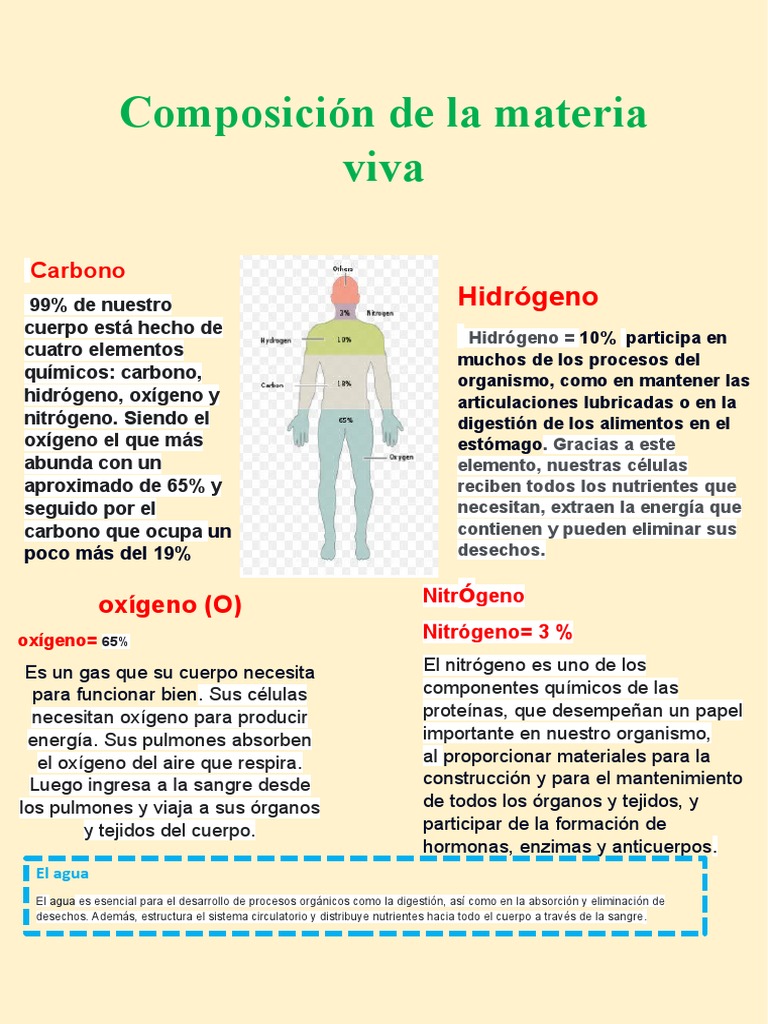 Composición de La Materia Viva | Descargar gratis PDF | Digestión ...