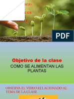 1679259559la Planta Ere Maravillo o 2