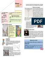 ACTIVIDAD N°3 - 3-4-2-5 - Jun-12 (1) .PDF 20223