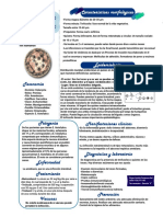 Laminario Entamoeba Hystolistica