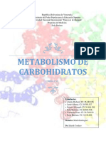 Tema 19 Metabolismo Carbohidratos La Gluconeogenesis Grupo 9