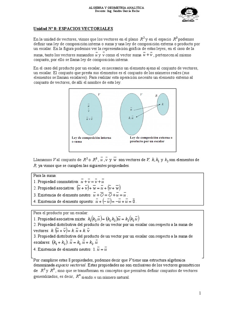 Algebra Espacio Vectorial Pdf