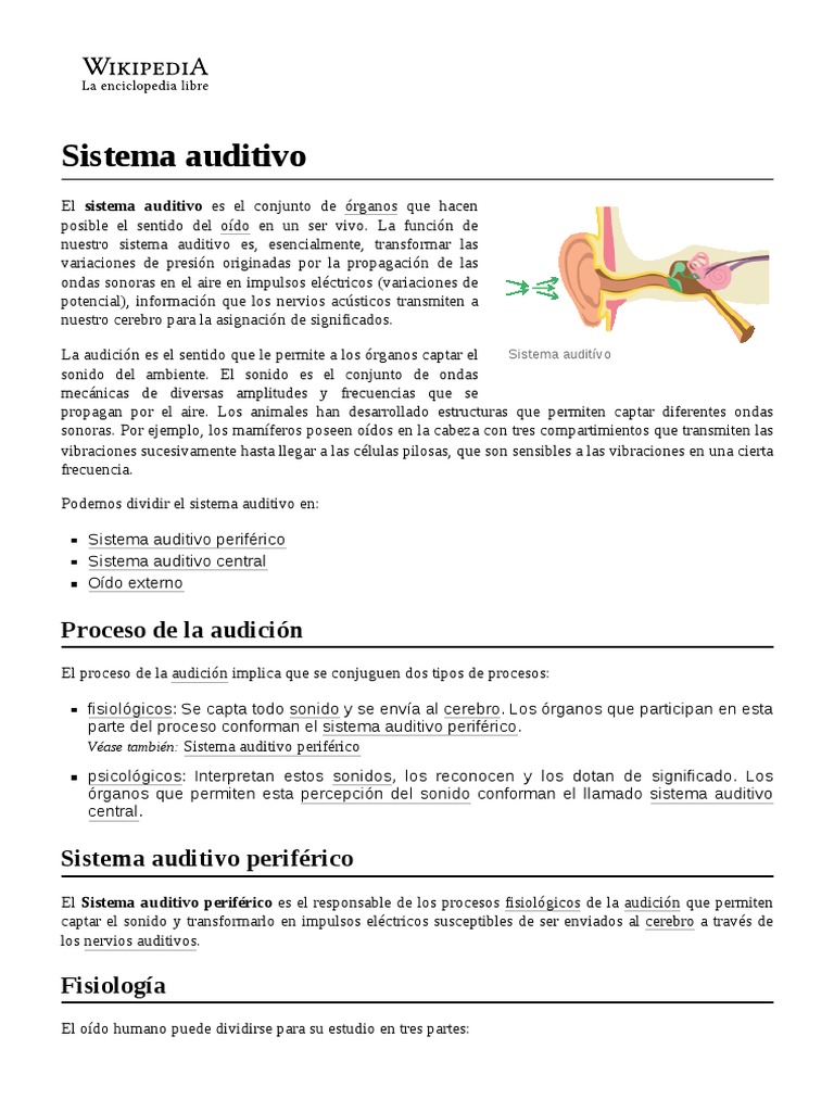 Sistema Auditivo Pdf Escuchando Oído