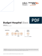 Basic Budget Hospital Template