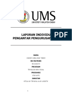 Laporan Individu Pengurusan Seni