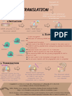 Translation Process