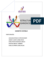 Informe Estructura Organizaciona FINAL