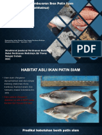 Teknis Budidaya Ikan Patin Siam Muara Enim (Temu Lapang Janu)