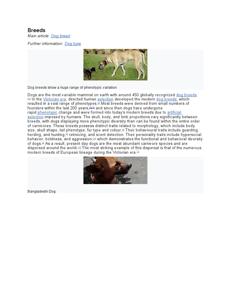 Dog Breeds: Types and Traits | PDF | Travel | Science & Mathematics