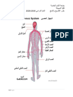 تشريح الجهاز العصبي