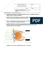 Examen Nervisoso 3º e 1