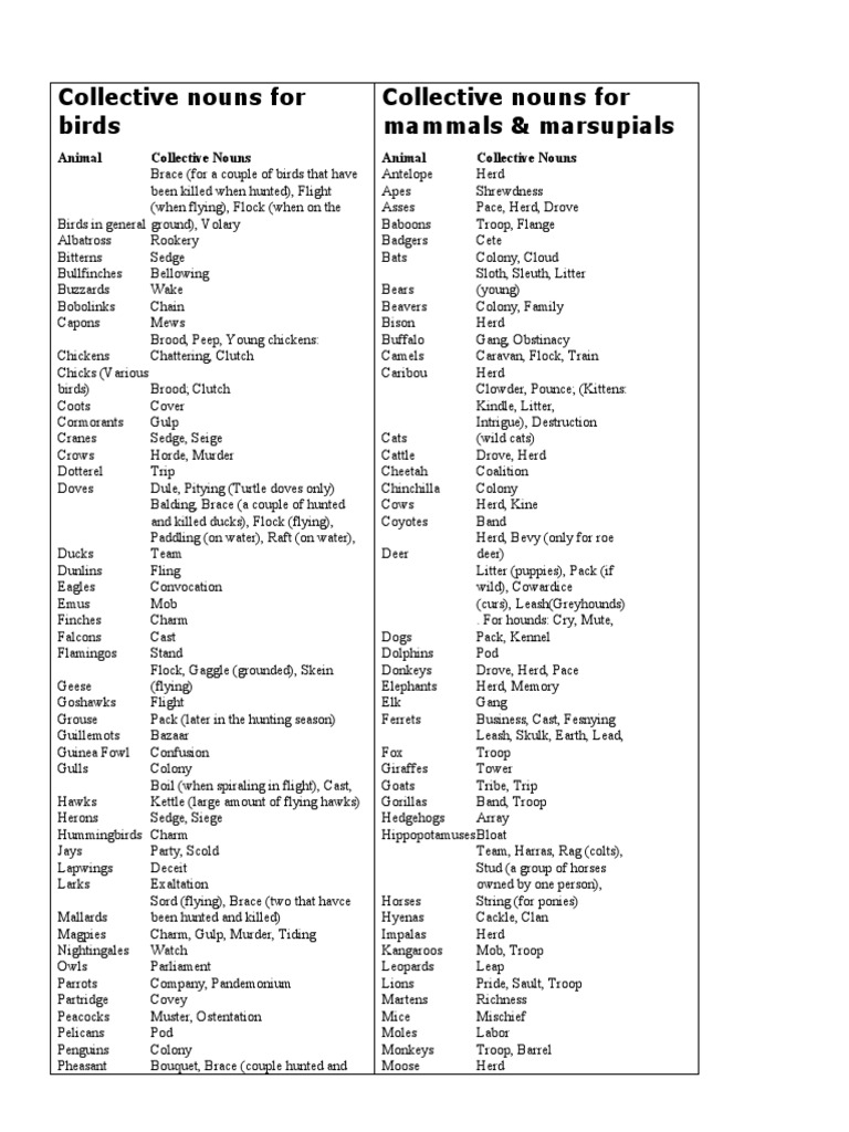 Collective nouns for animals PDF