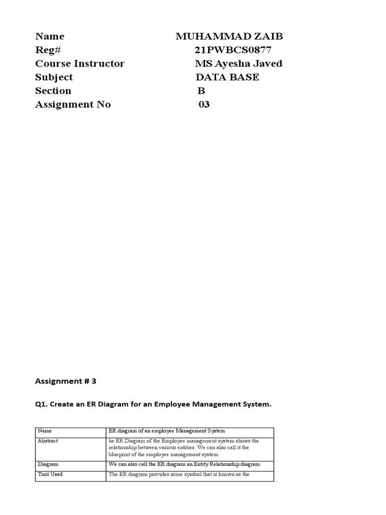 Muhammad zaib assignment 03 pdf employment salary