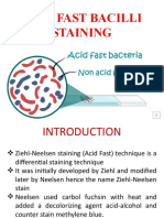 Acid Fast Bacilli Staining