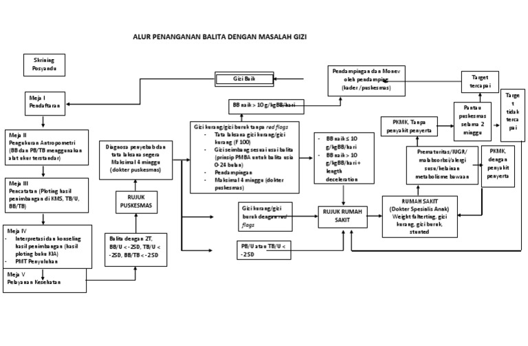 Alur Penanganan Balita Dengan Masalah Gizi Pdf
