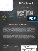 Metabolisme Kolesterol