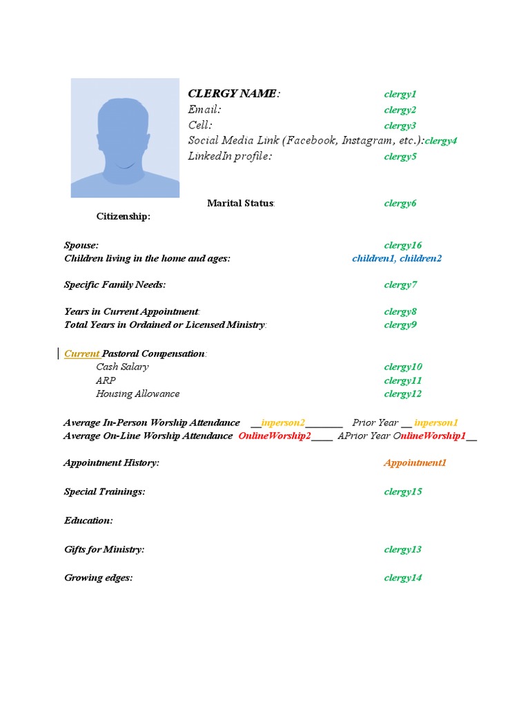Clergy Profile and Skills Assessment | PDF