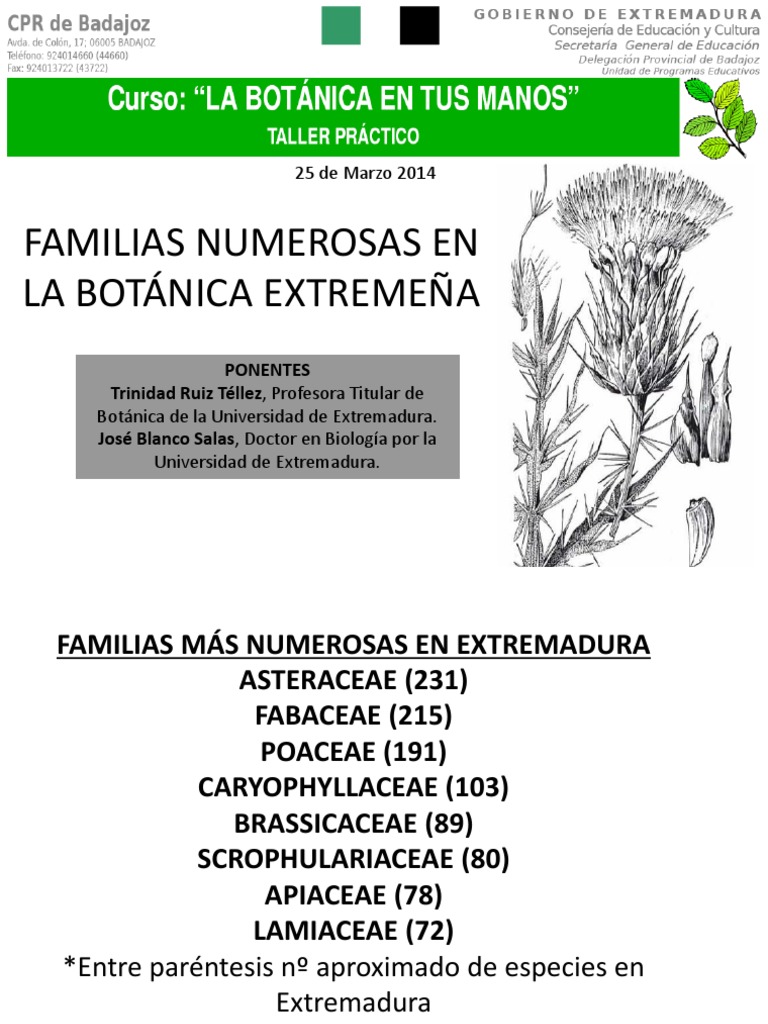 3-familias-numerosas-extremadura-pdf-plantas-bot-nica