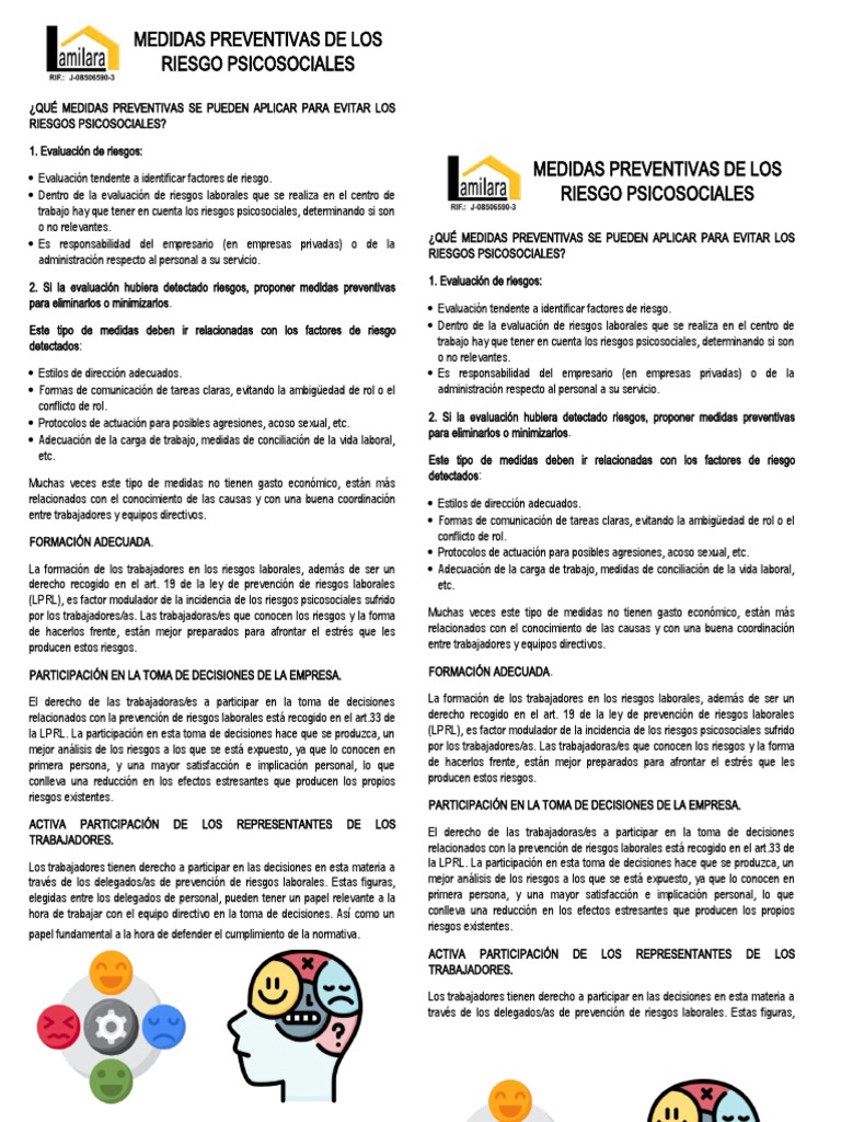 Medidas Preventivas Riesgos Psicosociales | PDF | Toma de decisiones ...