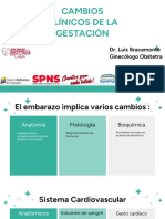 3 Cambios Clínicos de La Gestación